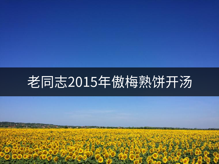 老同志2015年傲梅熟餅開(kāi)湯 老同志2015年傲梅熟餅開(kāi)湯