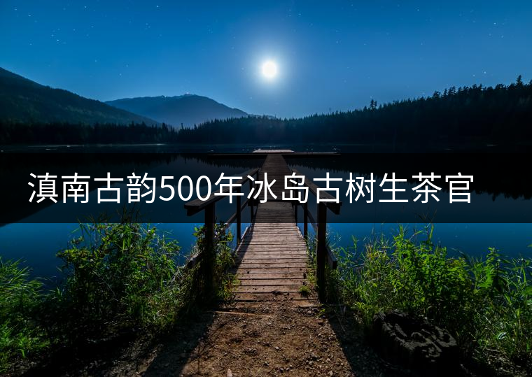 滇南古韻500年冰島古樹生茶官方評測 滇南古韻500年冰島古樹生茶官方評測