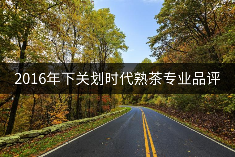 2016年下關劃時代熟茶專業(yè)品評 2016年下關劃時代熟茶專業(yè)品評