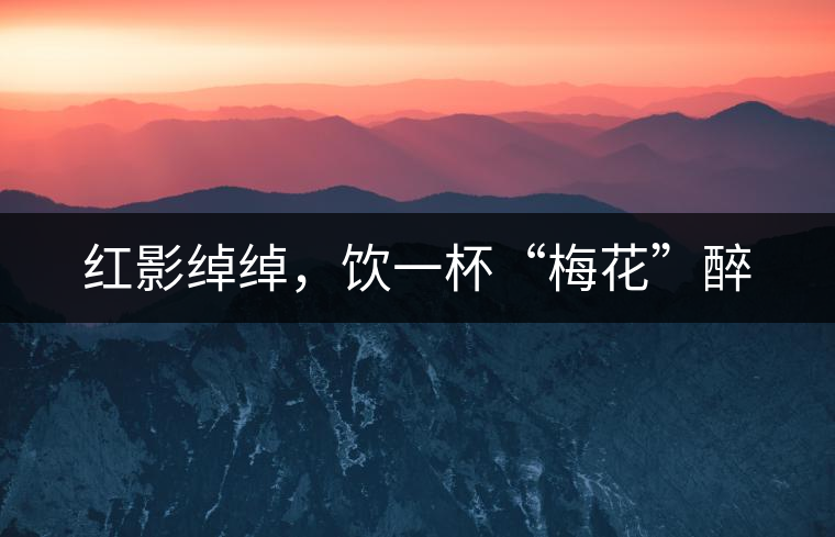 紅影綽綽，飲一杯“梅花”醉