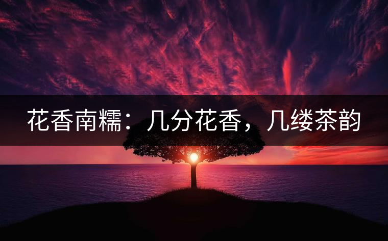 花香南糯：幾分花香，幾縷茶韻