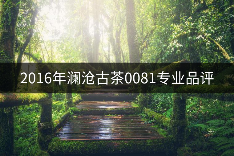 2016年瀾滄古茶0081專業(yè)品評(píng)