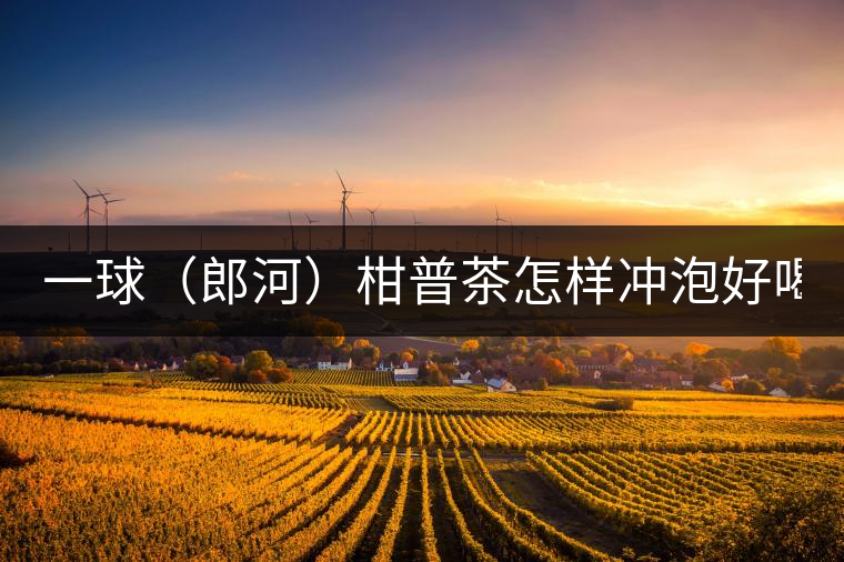 一球（郎河）柑普茶怎樣沖泡好喝？