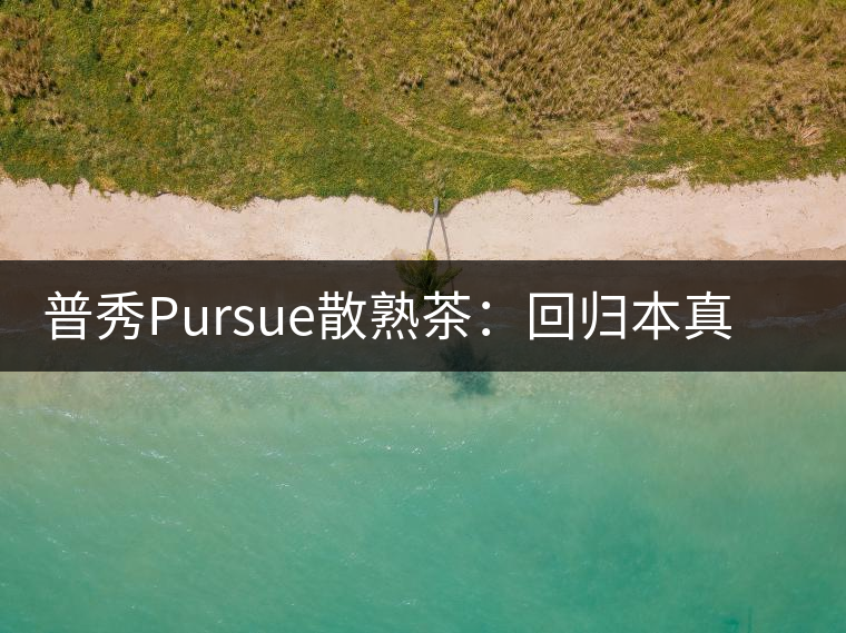 普秀Pursue散熟茶：回歸本真，一款高性價比口糧散熟茶