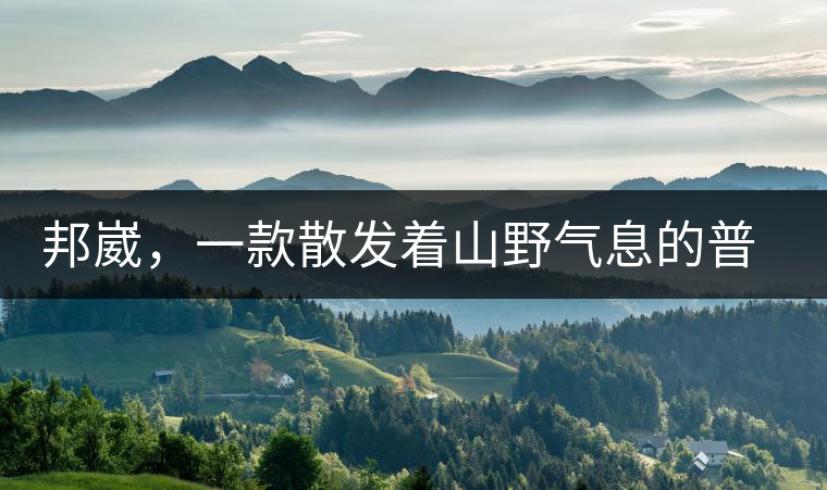 邦崴，一款散發(fā)著山野氣息的普洱