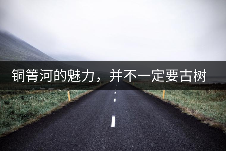 銅箐河的魅力，并不一定要古樹來體現(xiàn)