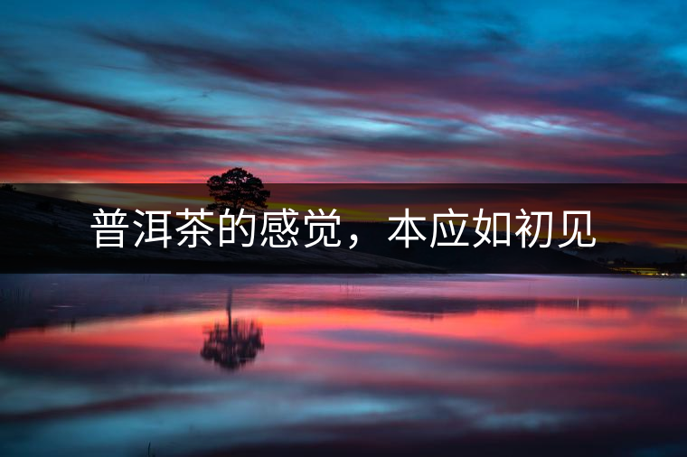 普洱茶的感覺，本應(yīng)如初見
