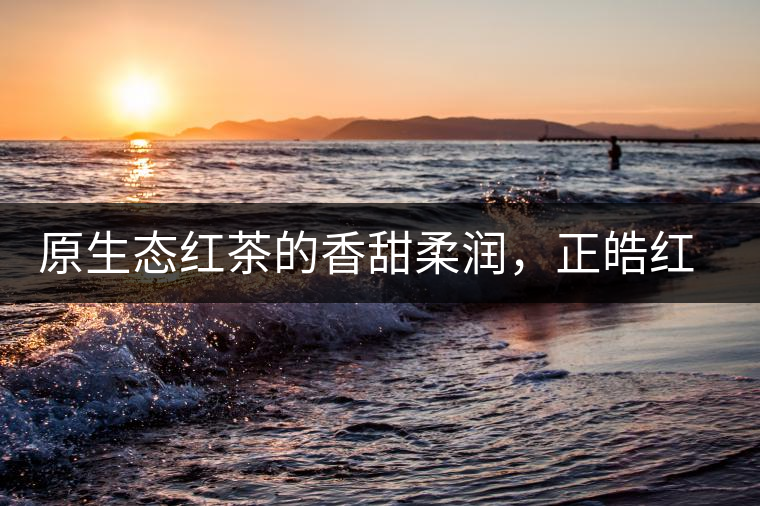 原生態(tài)紅茶的香甜柔潤，正皓紅的魅力無可抵擋！