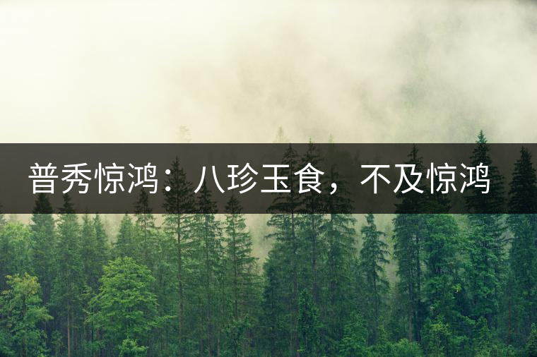 普秀驚鴻：八珍玉食，不及驚鴻一湯