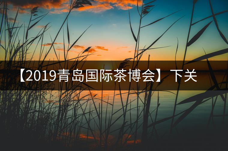【2019青島國際茶博會(huì)】下關(guān)沱茶攜新品C位亮相！
