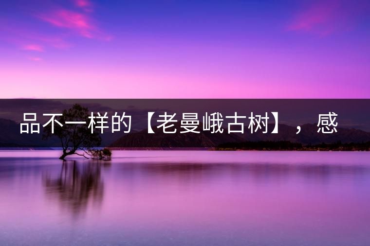 品不一樣的【老曼峨古樹】，感受別樣甘甜與溫婉