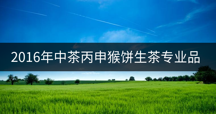 2016年中茶丙申猴餅生茶專業(yè)品評(píng) 2016年中茶丙申猴餅生茶專業(yè)品評(píng)