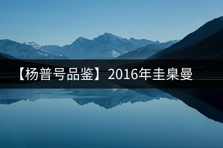【楊普號(hào)品鑒】2016年圭臬曼糯 【楊普號(hào)品鑒】2016年圭臬曼糯