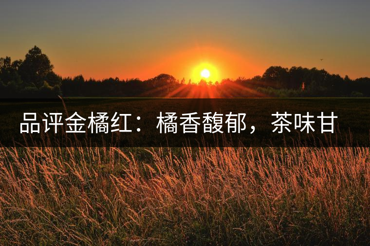 品評(píng)金橘紅：橘香馥郁，茶味甘醇，匠心拼配，臻于至善