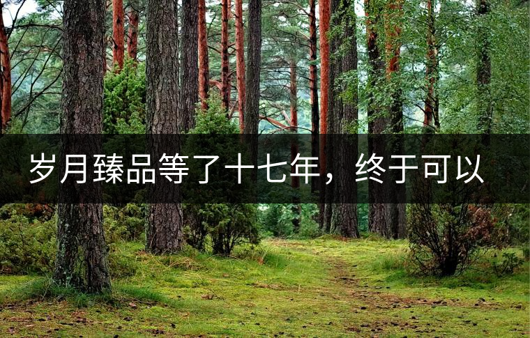 歲月臻品等了十七年,終于可以品味歲月 歲月臻品等了十七年,終于可以品味歲月