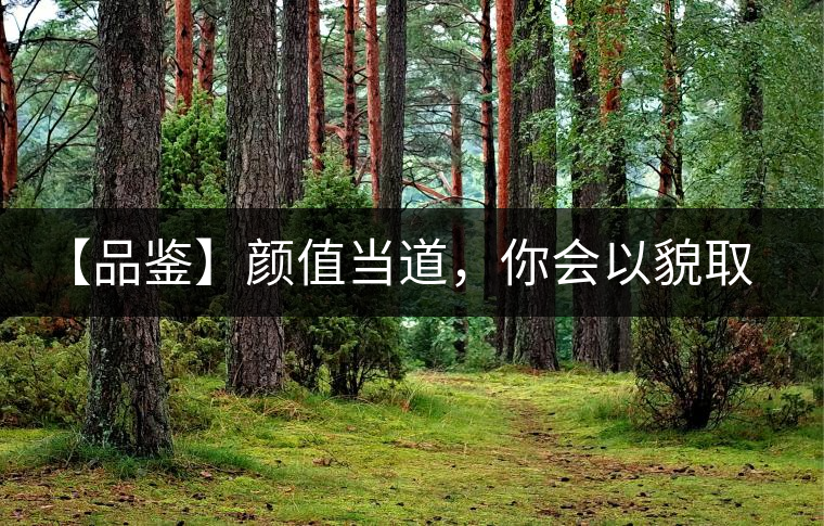 【品鑒】顏值當(dāng)?shù)?，你?huì)以貌取茶嗎？