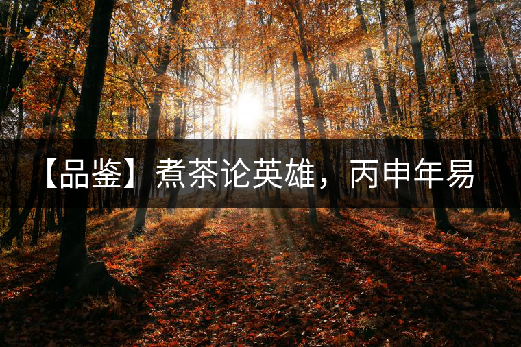 【品鑒】煮茶論英雄，丙申年易武麻黑