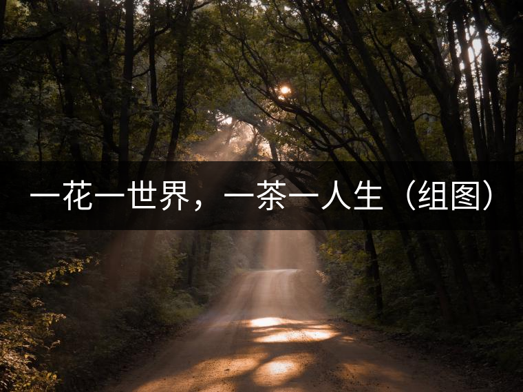 一花一世界，一茶一人生（組圖）