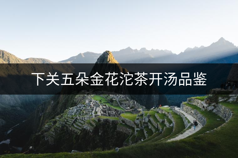 下關(guān)五朵金花沱茶開湯品鑒