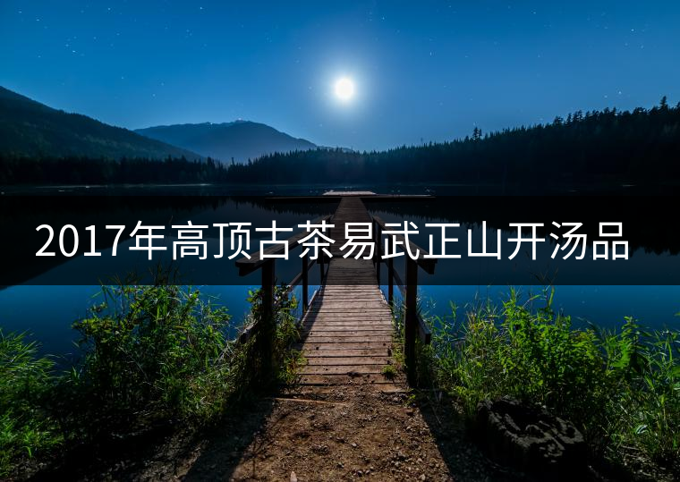 2017年高頂古茶易武正山開湯品飲 2017年高頂古茶易武正山開湯品飲