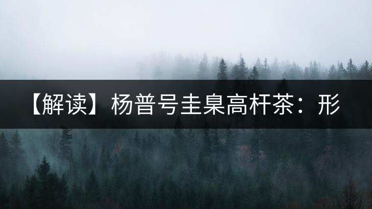 【解讀】楊普號(hào)圭臬高桿茶：形高、氣足、韻遠(yuǎn)的一款茶