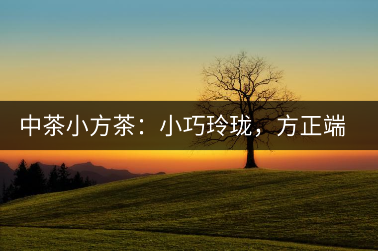 中茶小方茶：小巧玲瓏，方正端莊