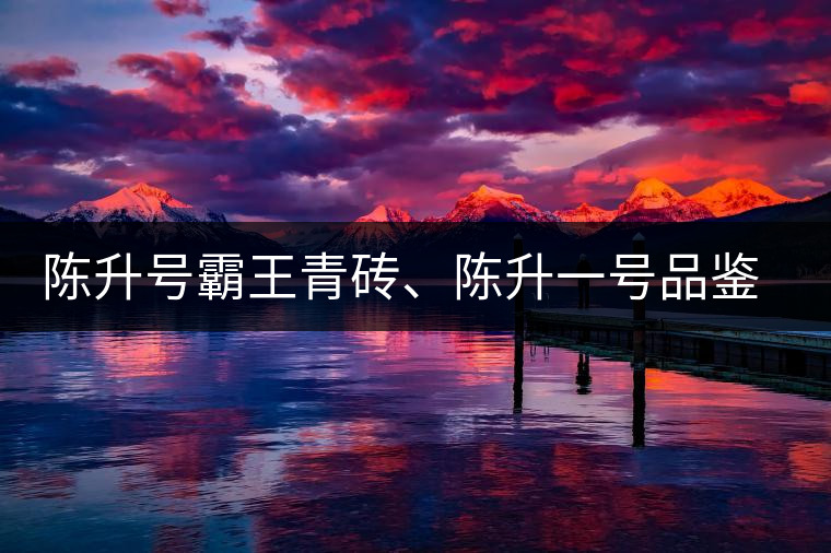 陳升號(hào)霸王青磚、陳升一號(hào)品鑒【圖】