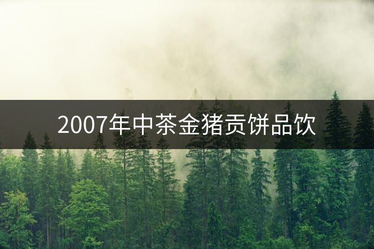 2007年中茶金豬貢餅品飲 2007年中茶金豬貢餅品飲