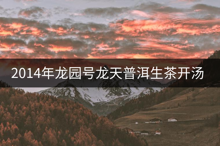 2014年龍園號龍?zhí)炱斩栝_湯品鑒 2014年龍園號龍?zhí)炱斩栝_湯品鑒