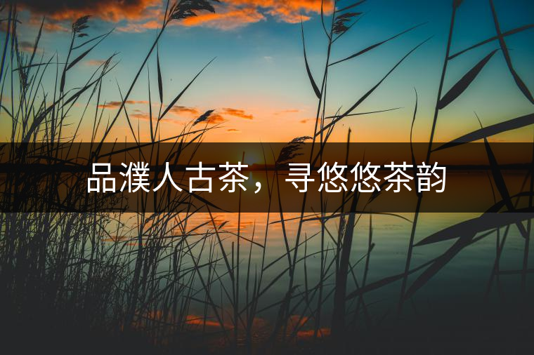 品濮人古茶，尋悠悠茶韻