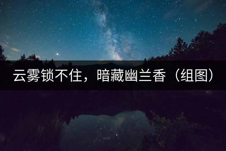 云霧鎖不住，暗藏幽蘭香（組圖）