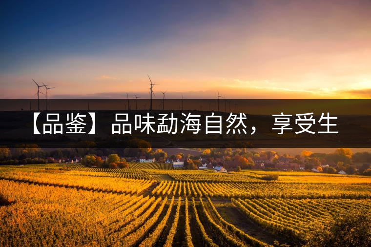 【品鑒】品味勐海自然，享受生活醇香