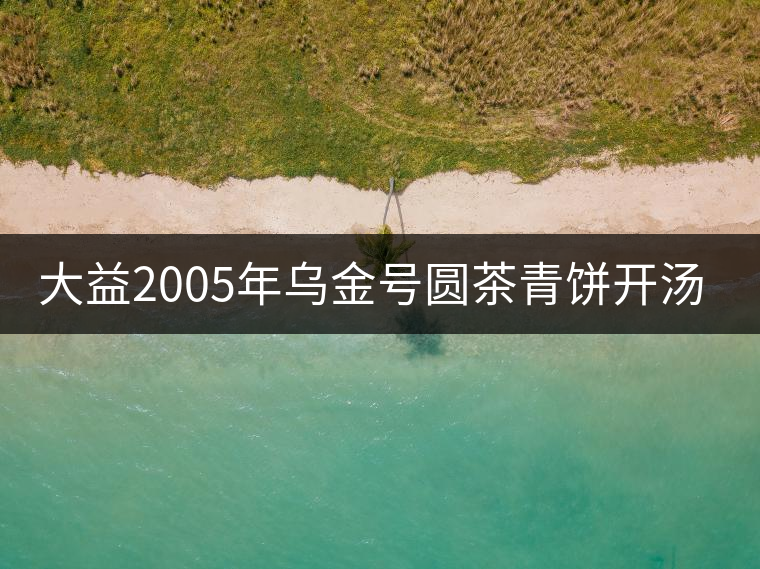 大益2005年烏金號圓茶青餅開湯品鑒