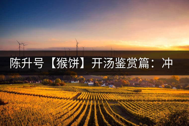 陳升號(hào)【猴餅】開(kāi)湯鑒賞篇：沖泡【猴餅】有哪些需要注意的