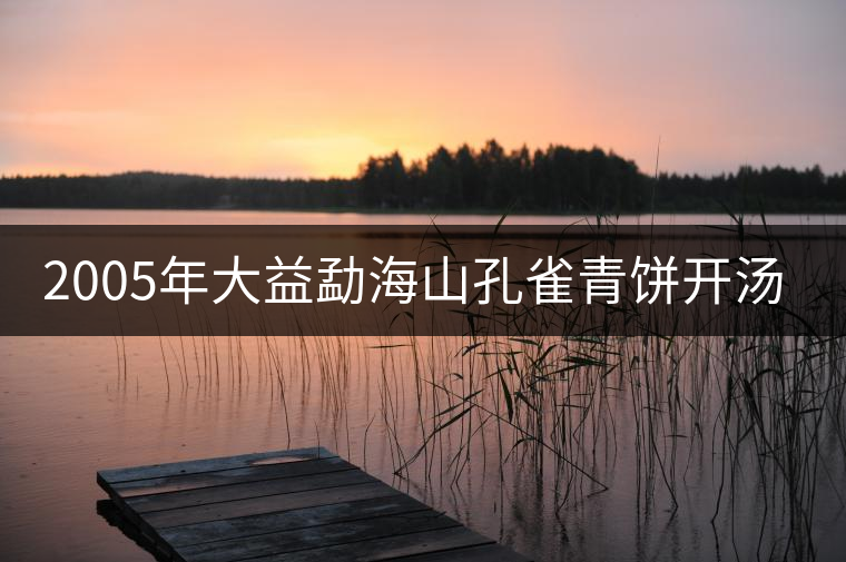 2005年大益勐海山孔雀青餅開湯品鑒 2005年大益勐海山孔雀青餅開湯品鑒