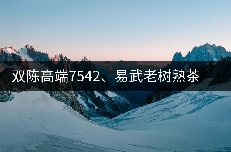 雙陳高端7542、易武老樹(shù)熟茶特級(jí)品正式上市