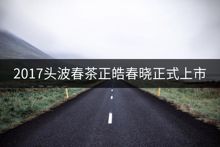 2017頭波春茶正皓春曉正式上市 2017頭波春茶正皓春曉正式上市