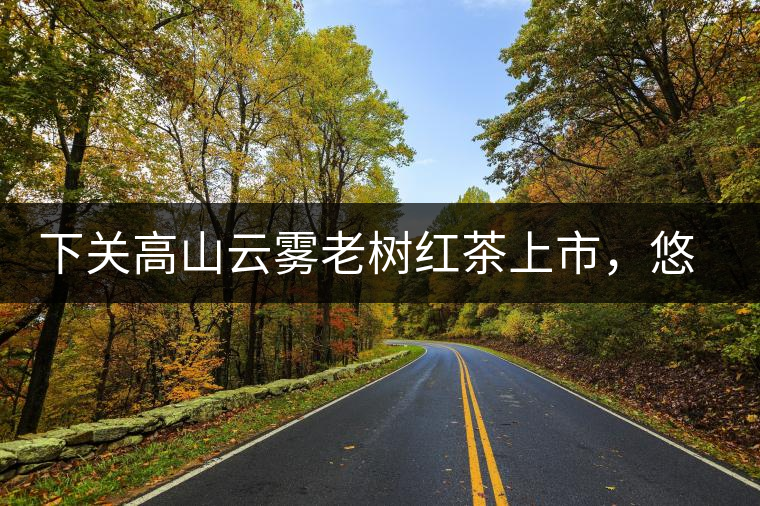 下關(guān)高山云霧老樹紅茶上市，悠悠春茶香