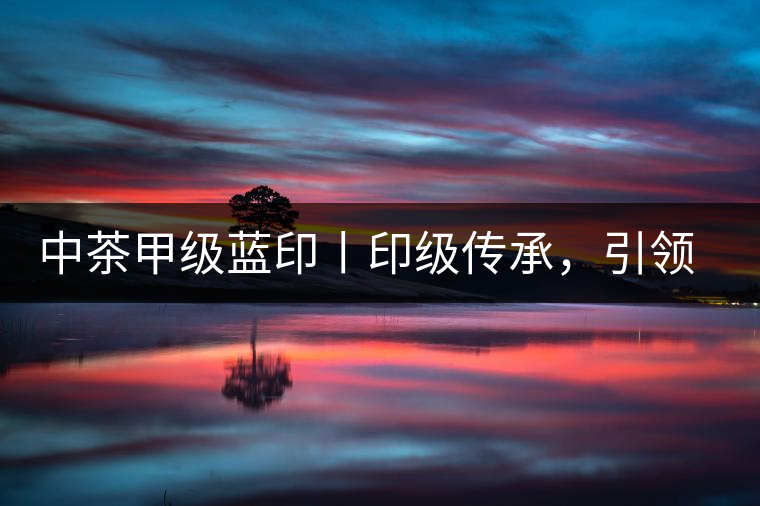 中茶甲級(jí)藍(lán)印丨印級(jí)傳承，引領(lǐng)風(fēng)韻