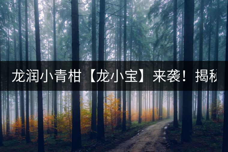 龍潤小青柑【龍小寶】來襲！揭秘它的前半生！