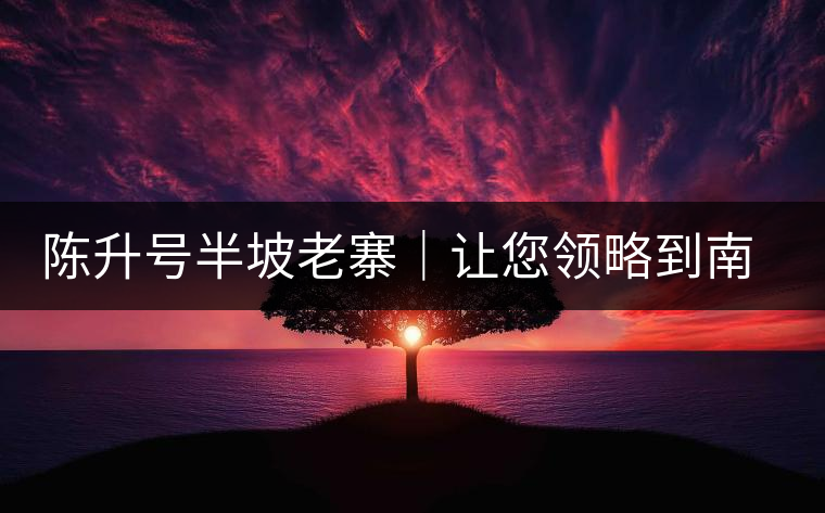 陳升號半坡老寨｜讓您領(lǐng)略到南糯山大樹茶口感的地道！