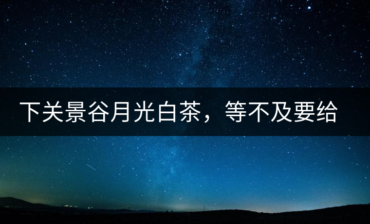 下關(guān)景谷月光白茶，等不及要給你的思念