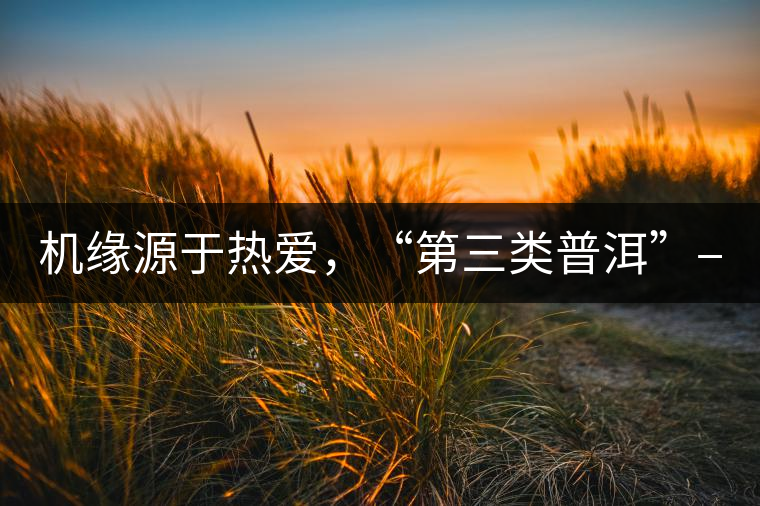 機(jī)緣源于熱愛，“第三類普洱”——“散壓茶TM”的誕生。