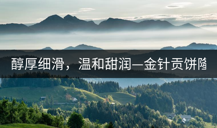 醇厚細滑，溫和甜潤—金針貢餅隆重上市！