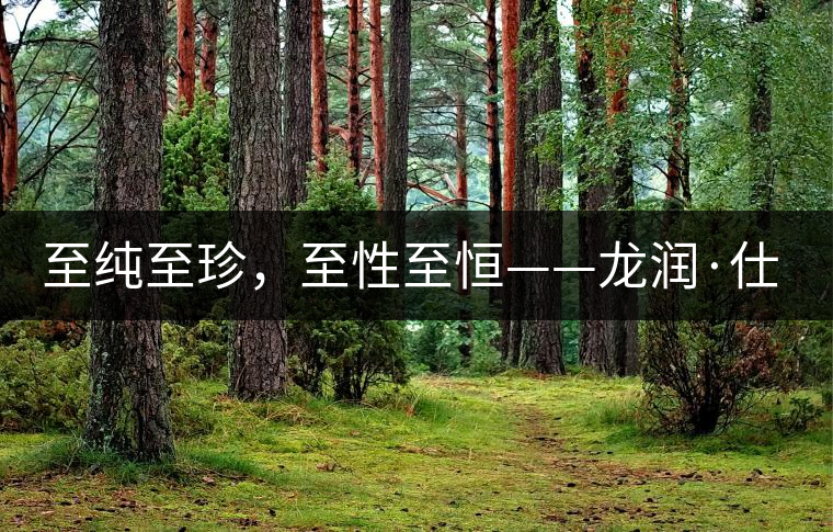 至純至珍，至性至恒——龍潤·仕通茶新上市！