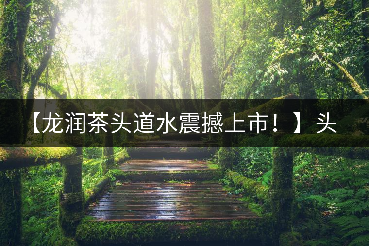 【龍潤茶頭道水震撼上市！】頭道水，二道茶，三道四道是精華！