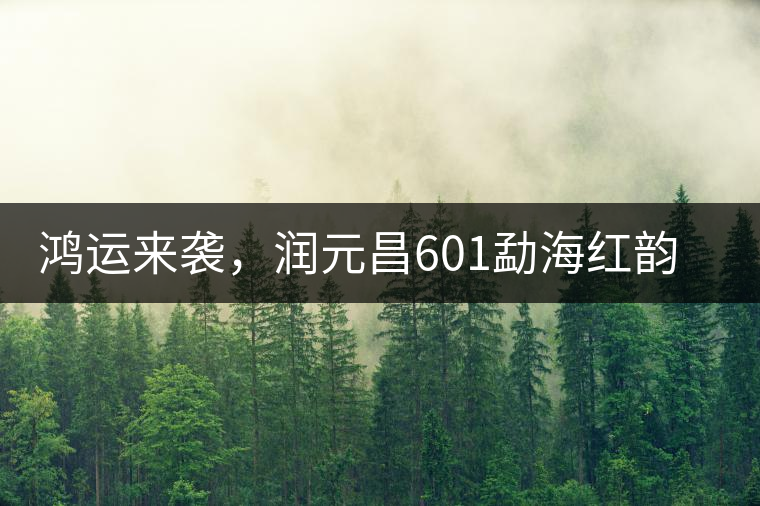 鴻運來襲，潤元昌601勐海紅韻熟茶即將上市