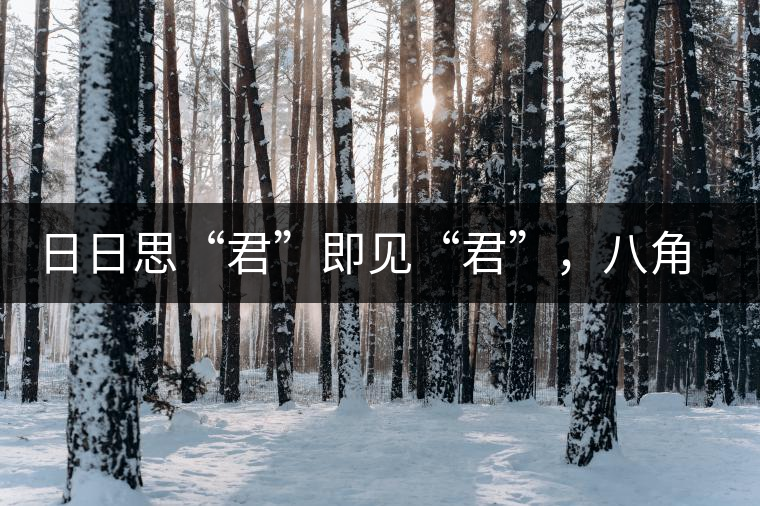 日日思“君”即見“君”，八角亭竹筒茶君子即將上市