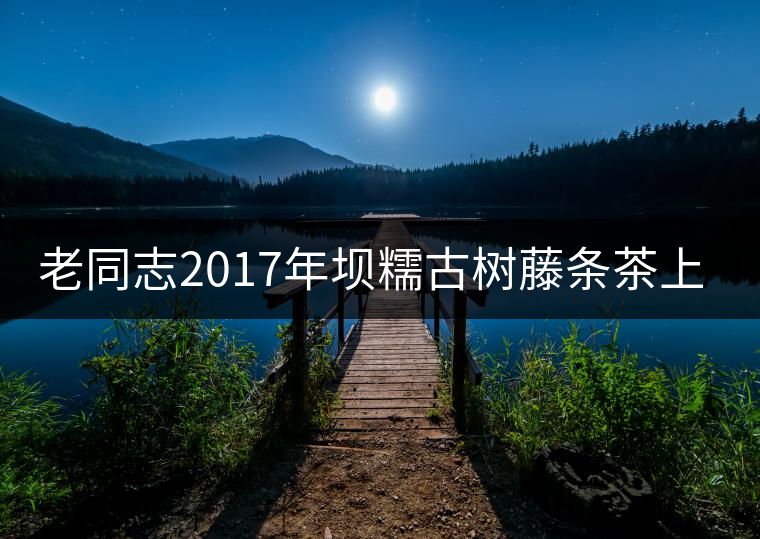 老同志2017年壩糯古樹藤條茶上市