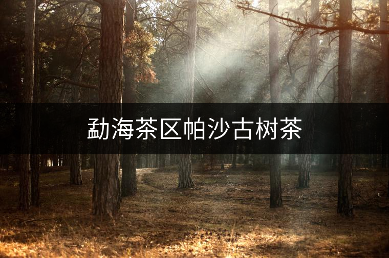 勐海茶區(qū)帕沙古樹茶 勐海茶區(qū)帕沙古樹茶